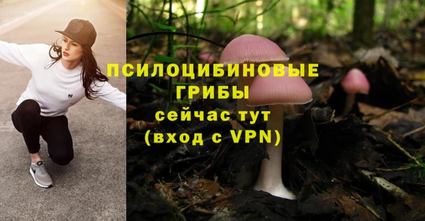 а пвп мука Карпинск