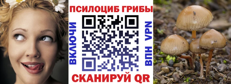 Купить где  Красновишерск  Галлюциногенные грибы Cubensis 